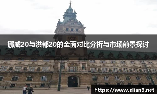 挪威20与洪都20的全面对比分析与市场前景探讨